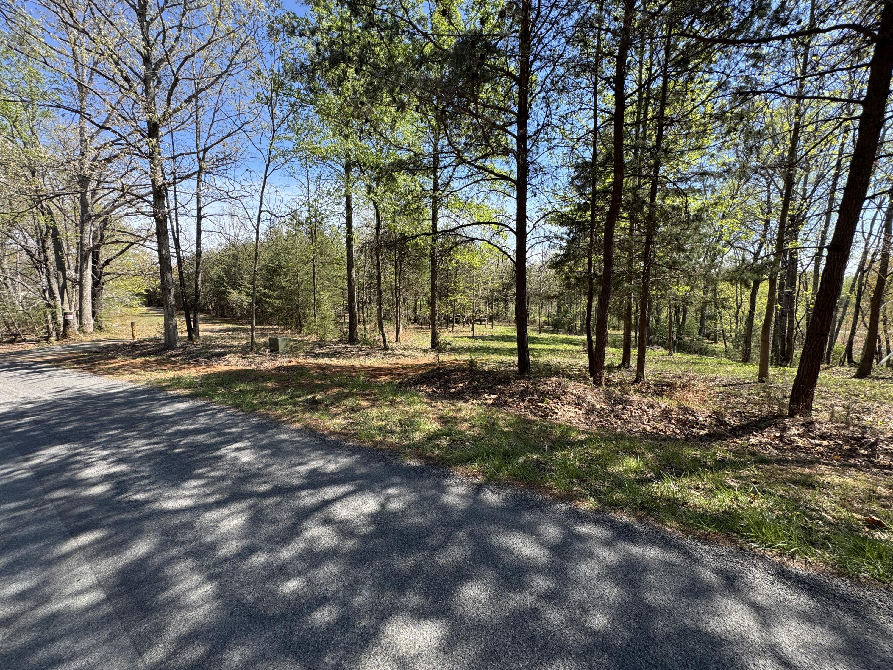 Lot 1 Lakestone Road Union Hall, VA 24176 - Photo 21 of 24 a view of outdoor space with trees