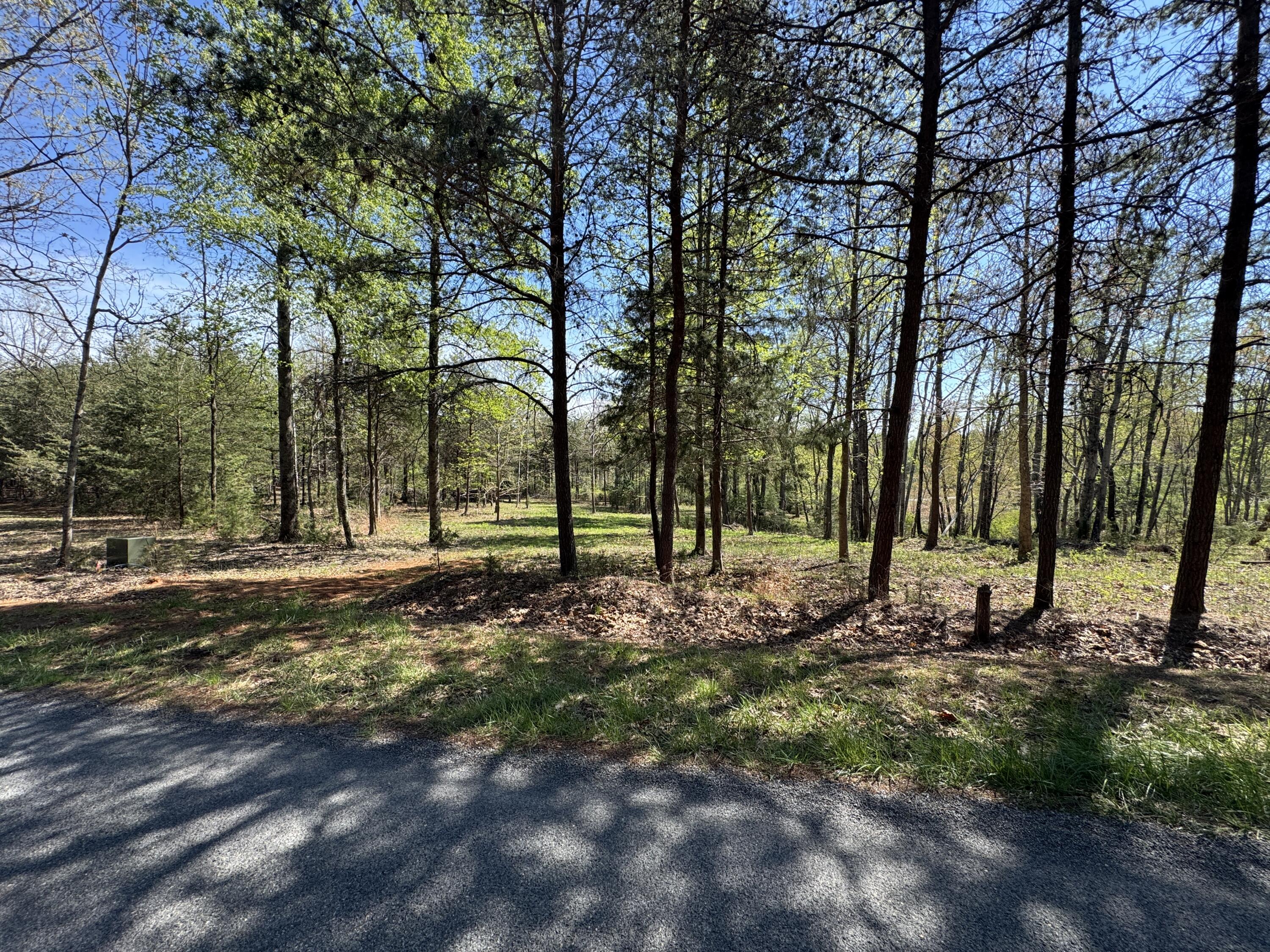 Lot 1 Lakestone Road Union Hall, VA 24176 - Photo 22 of 24 a view of a tree in a yard