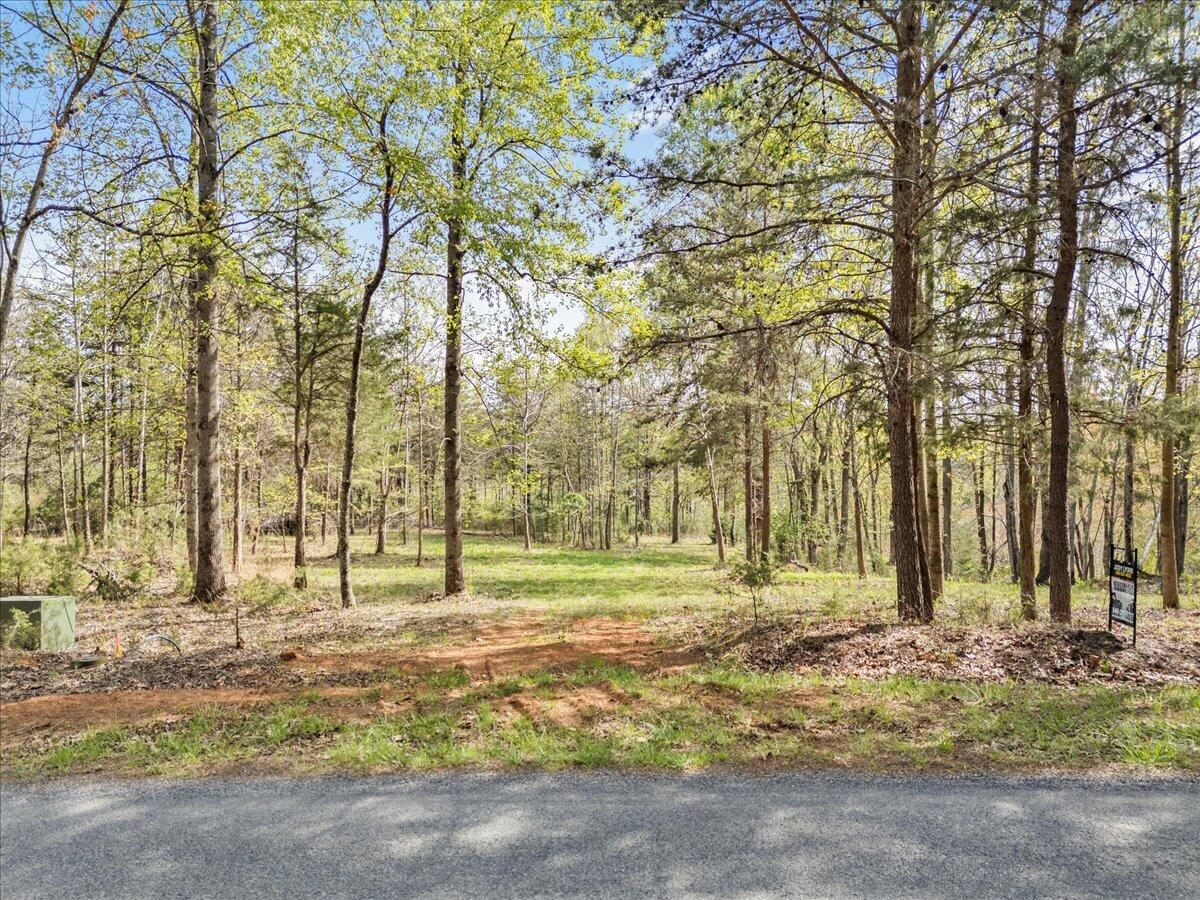 Lot 1 Lakestone Road Union Hall, VA 24176 - Photo 4 of 24 a backyard of apartments with large trees