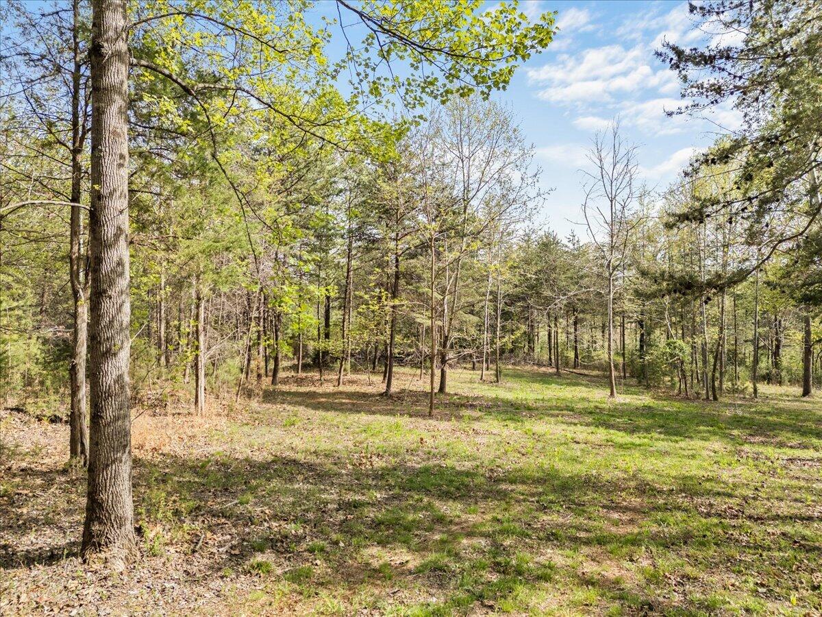 Lot 1 Lakestone Road Union Hall, VA 24176 - Photo 5 of 24 a view of yard with trees