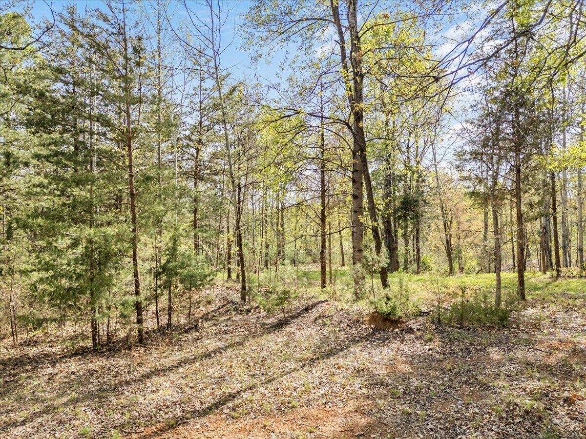 Lot 1 Lakestone Road Union Hall, VA 24176 - Photo 6 of 24 a backyard of a house with lots of green space