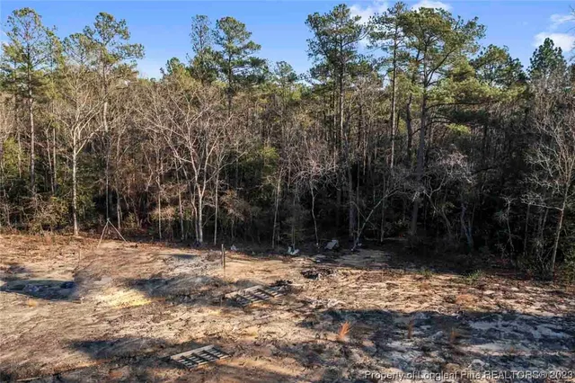 $20,000 | Cherrywood Lane, Cameron, NC 28326