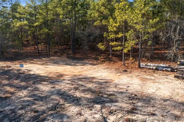 $20,000 | Cherrywood Lane, Cameron, NC 28326
