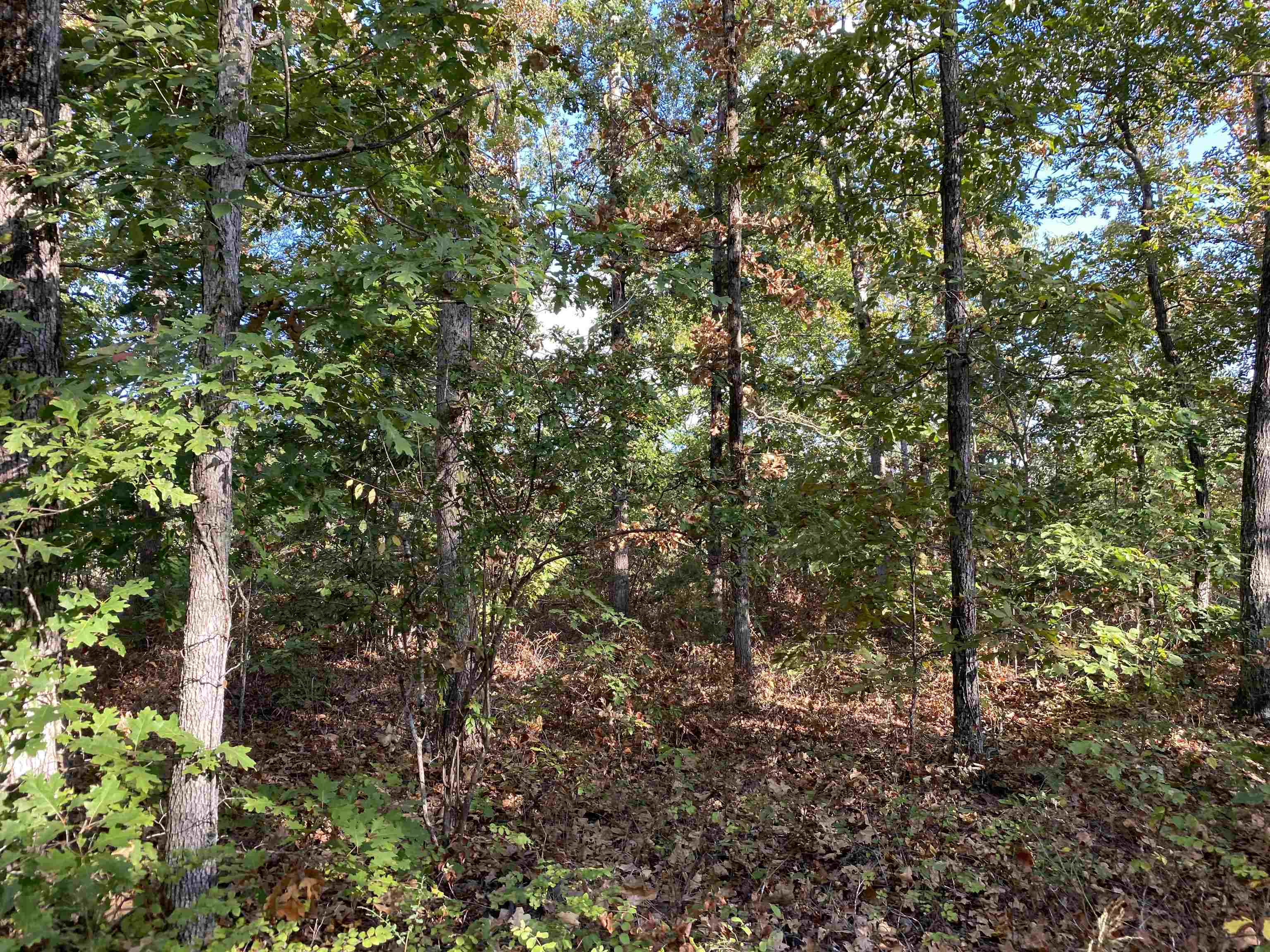 0 Keeton Road Waynesboro, TN 38485 - Photo 11 of 13 Gallery Image 11