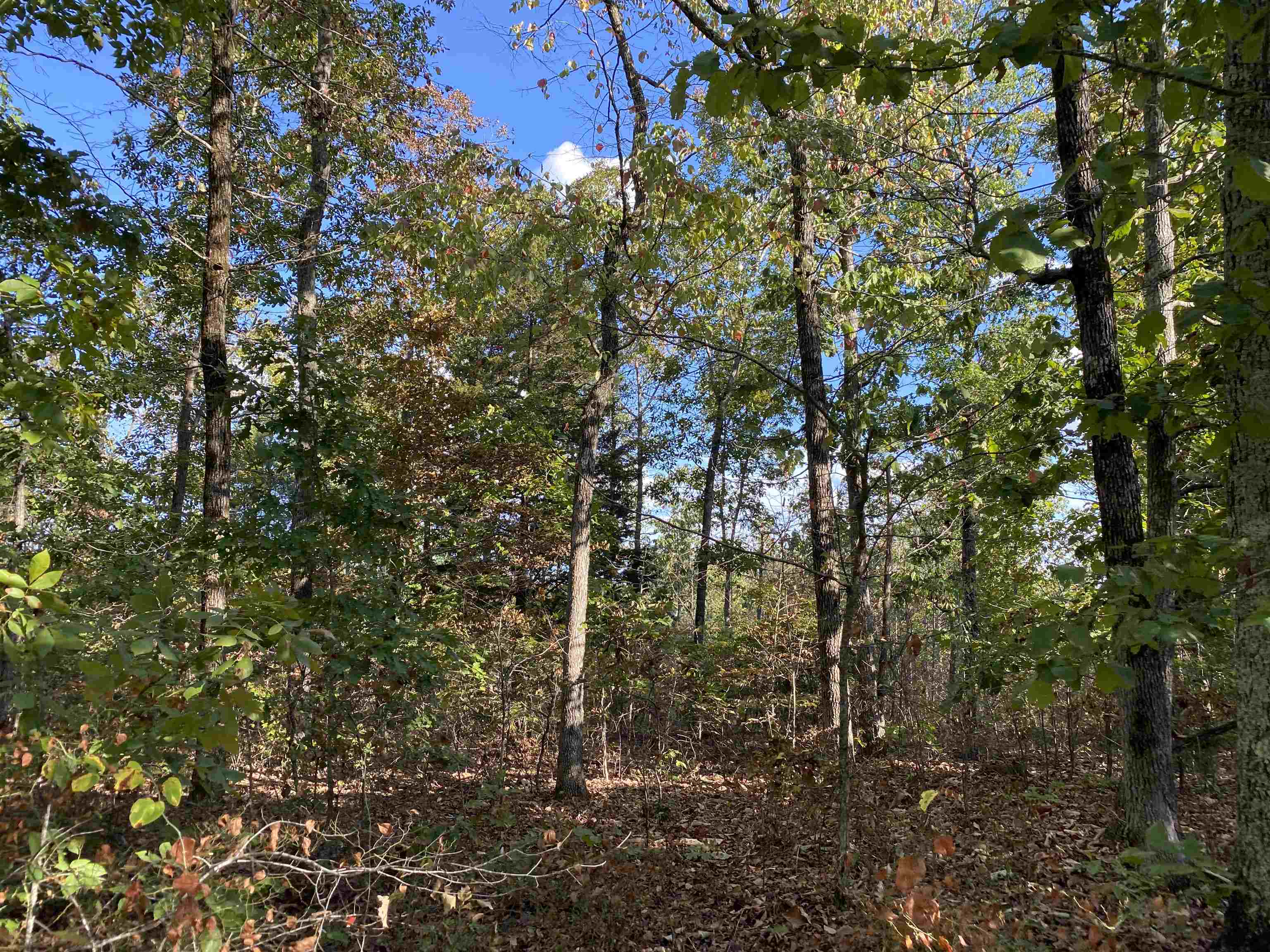 0 Keeton Road Waynesboro, TN 38485 - Photo 5 of 13 Gallery Image 5