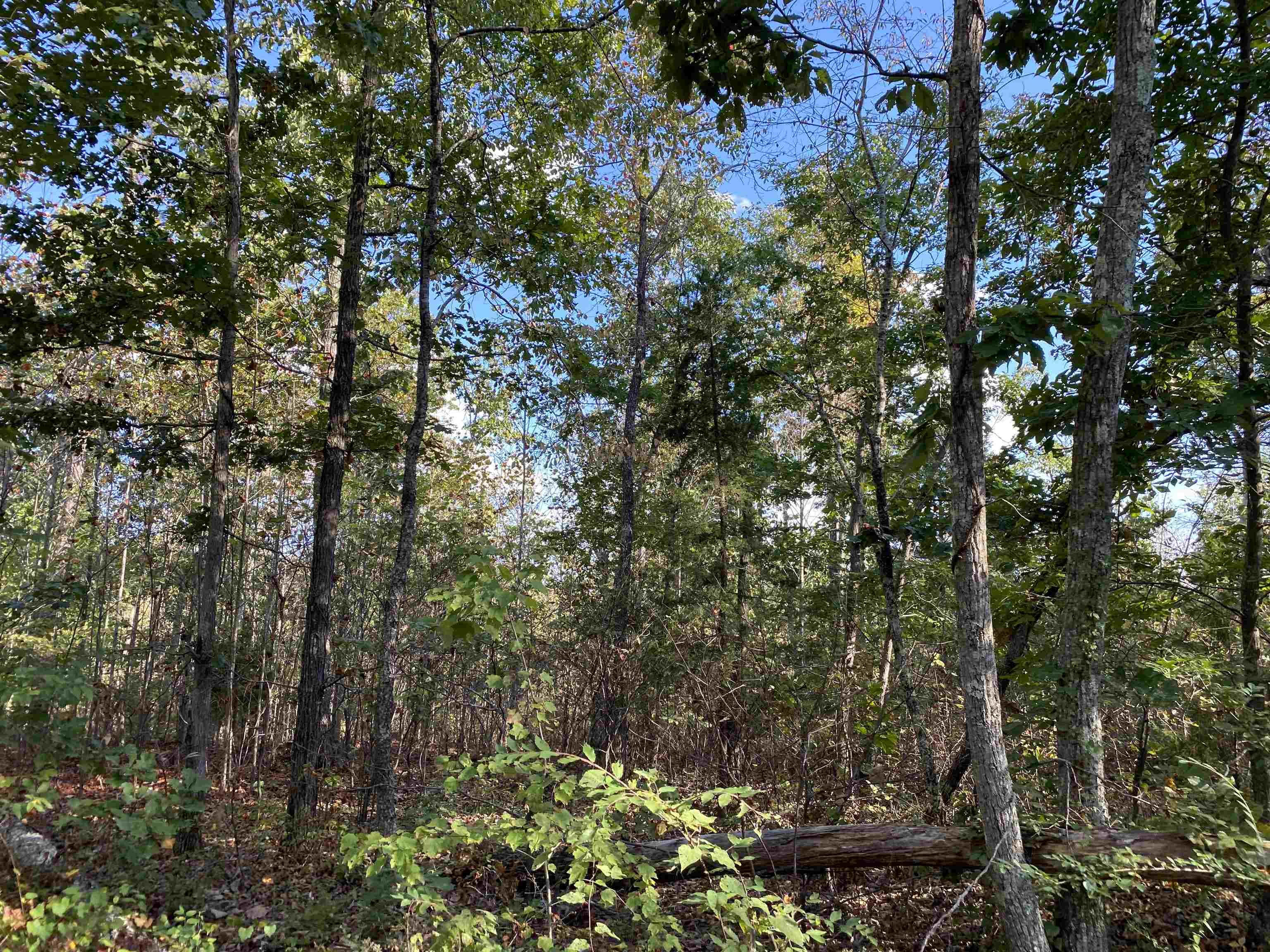 0 Keeton Road Waynesboro, TN 38485 - Photo 6 of 13 Gallery Image 6