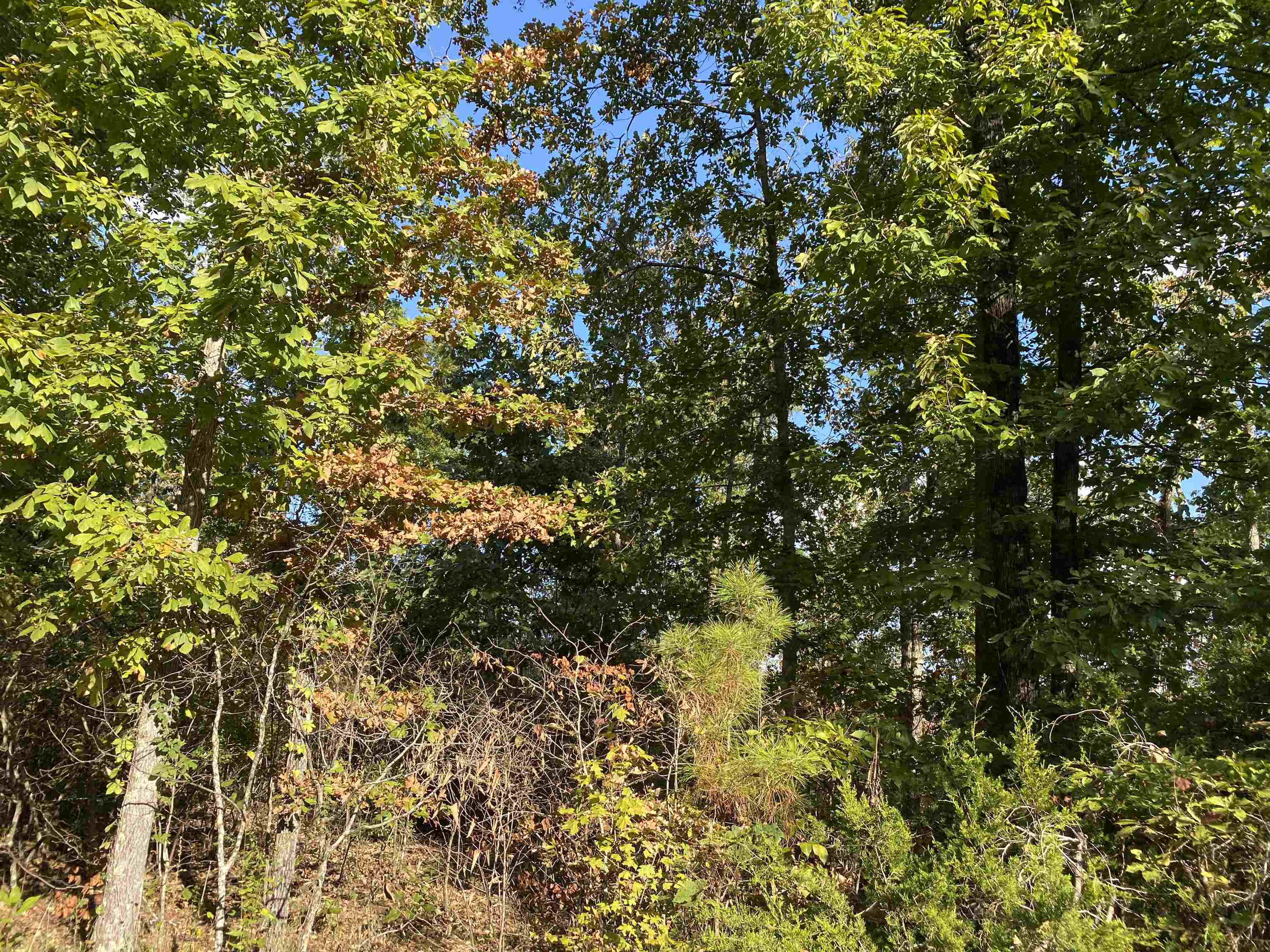 0 Keeton Road Waynesboro, TN 38485 - Photo 7 of 13 Gallery Image 7