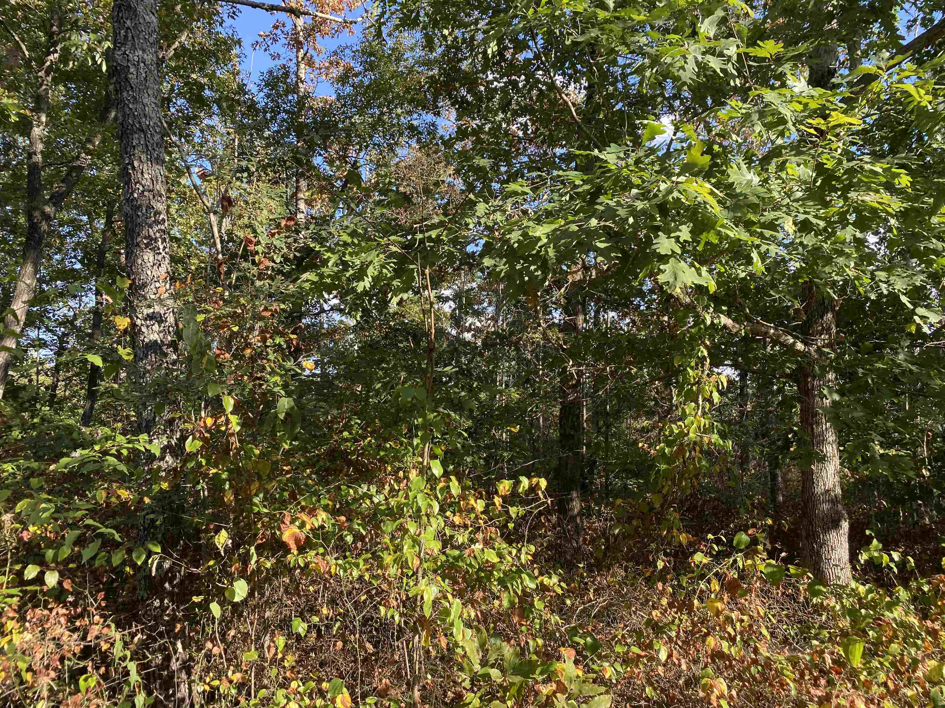 0 Keeton Road Waynesboro, TN 38485 - Photo 9 of 13 Gallery Image 9