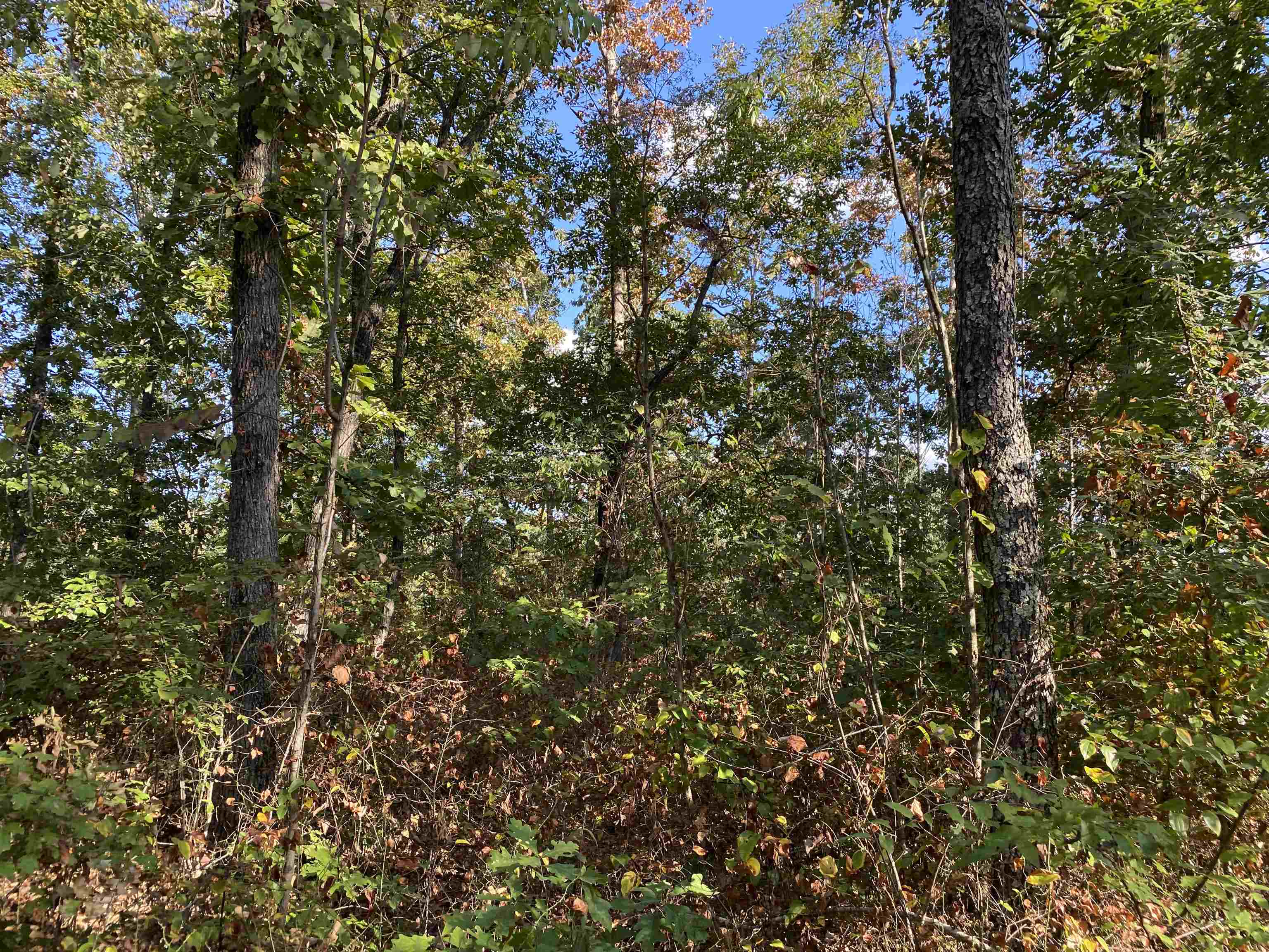 0 Keeton Road Waynesboro, TN 38485 - Photo 10 of 13 Gallery Image 10