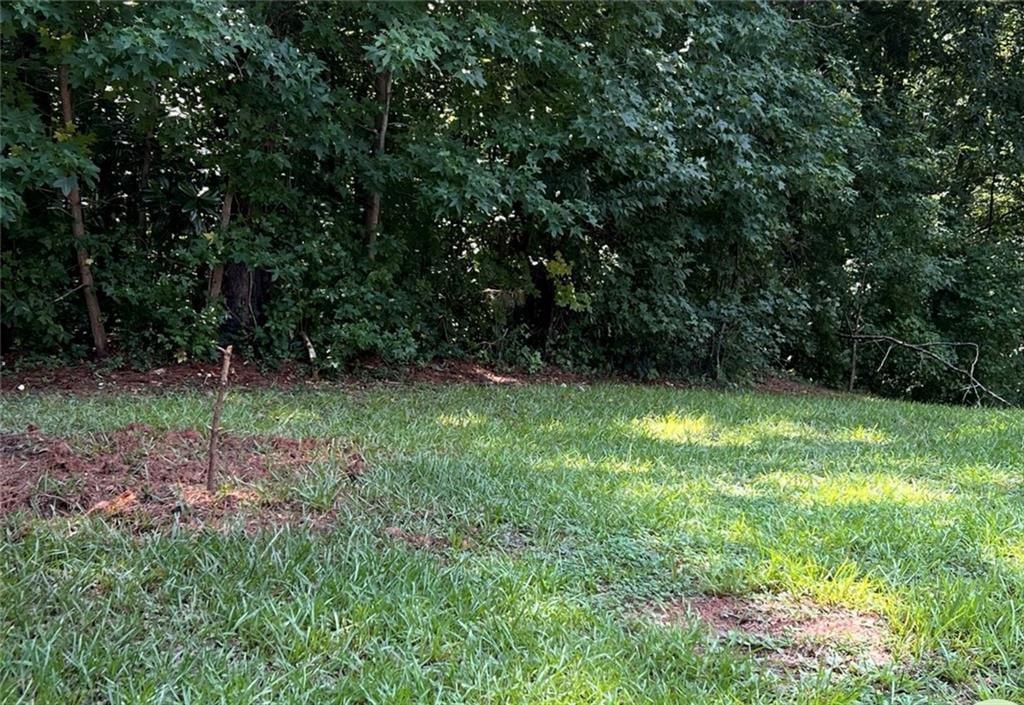 3005 Patty Hollow Decatur, GA 30034 - Photo 3 of 7 Gallery Image 3
