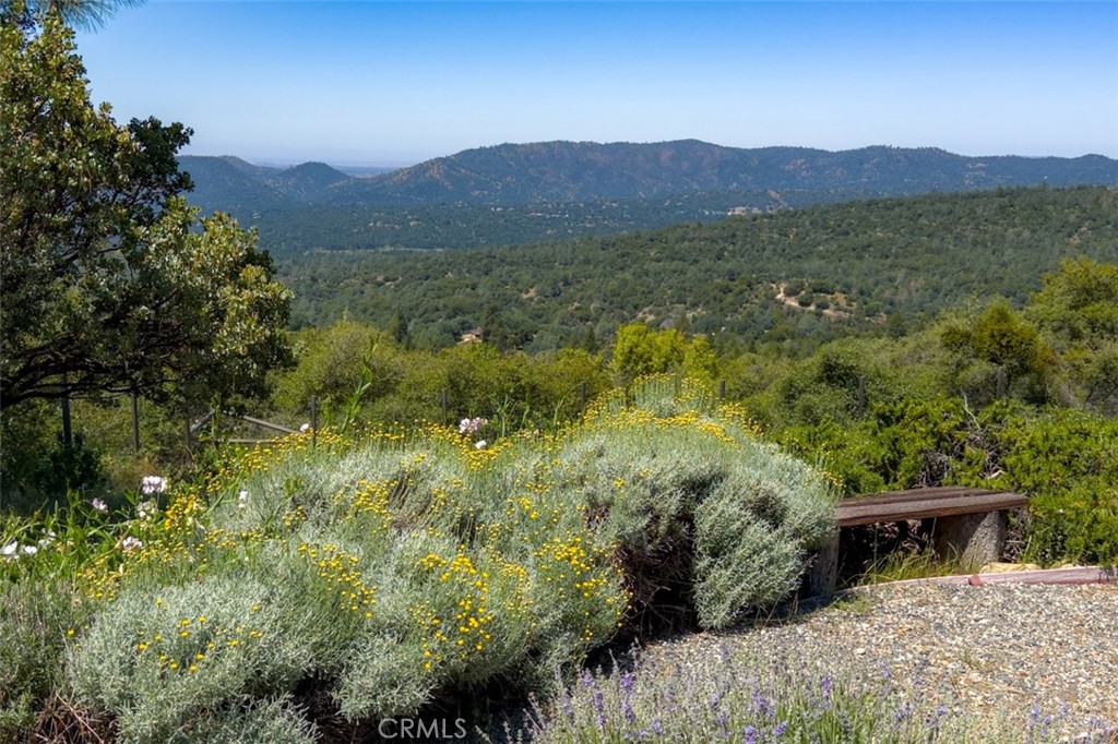 43016 Sunshine Mountain Road Oakhurst, CA 93644 - Photo 55 of 75