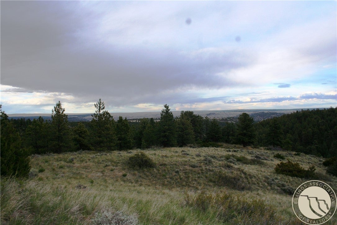 Lot 71 North Harrier Road Reed Point, MT 59069 - Photo 5 of 32 Gallery Image 5