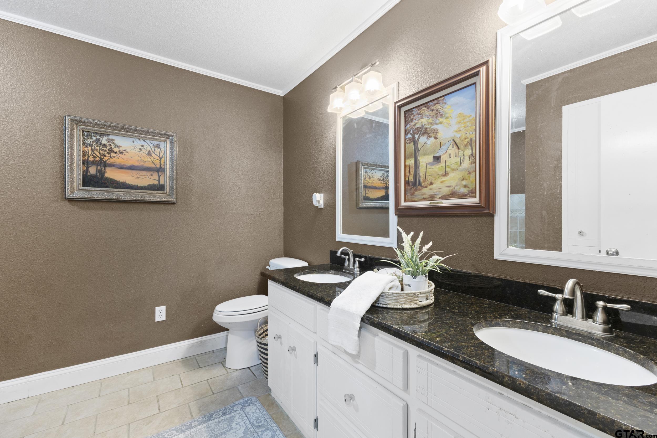 38 Quail Valley Road Mount Vernon, TX 75457 - Photo 35 of 46 a bathroom with a granite countertop sink mirror and toilet