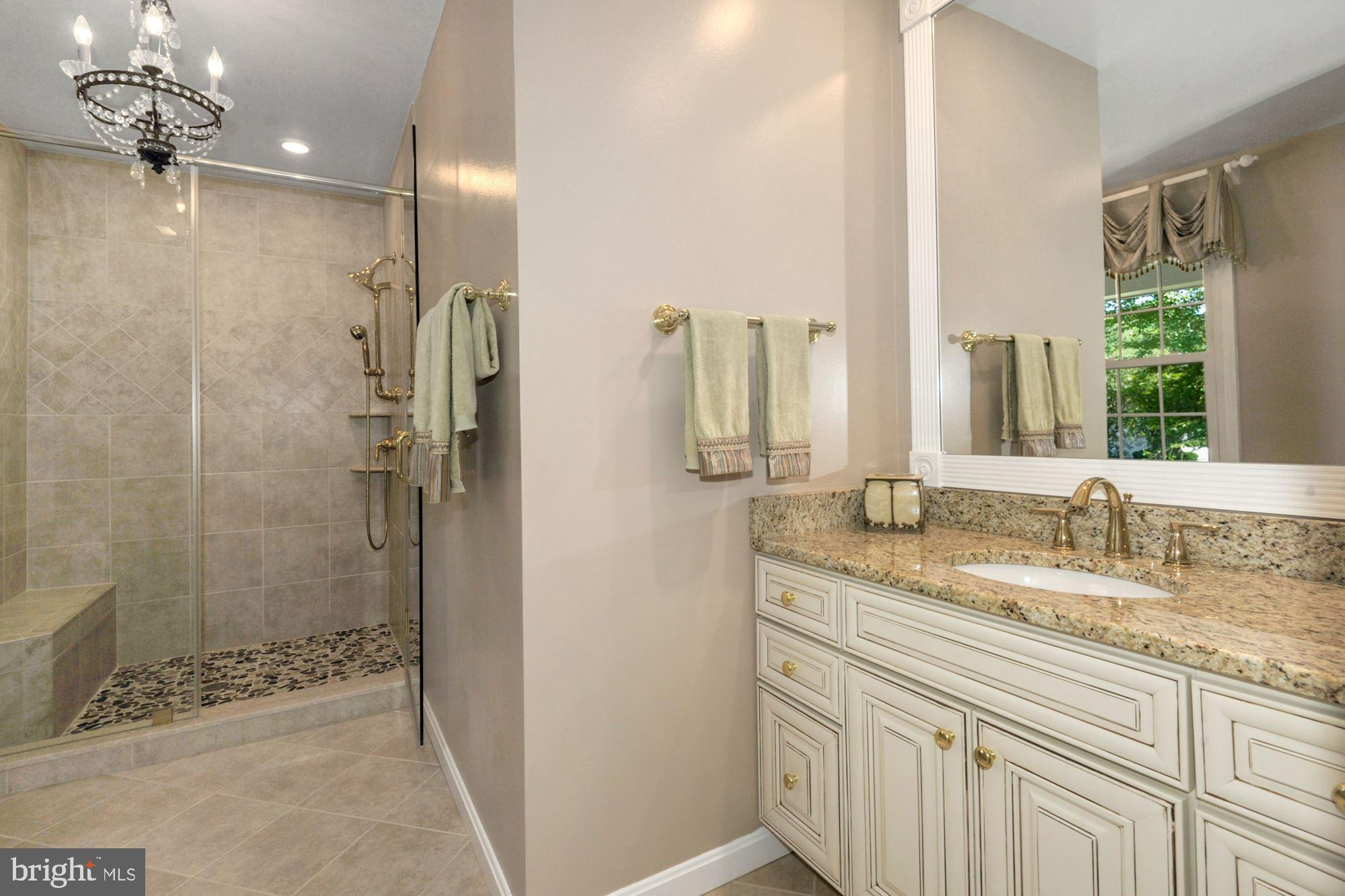 2741 Hill Road Vienna, VA 22181 - Photo 40 of 63 Primary bath