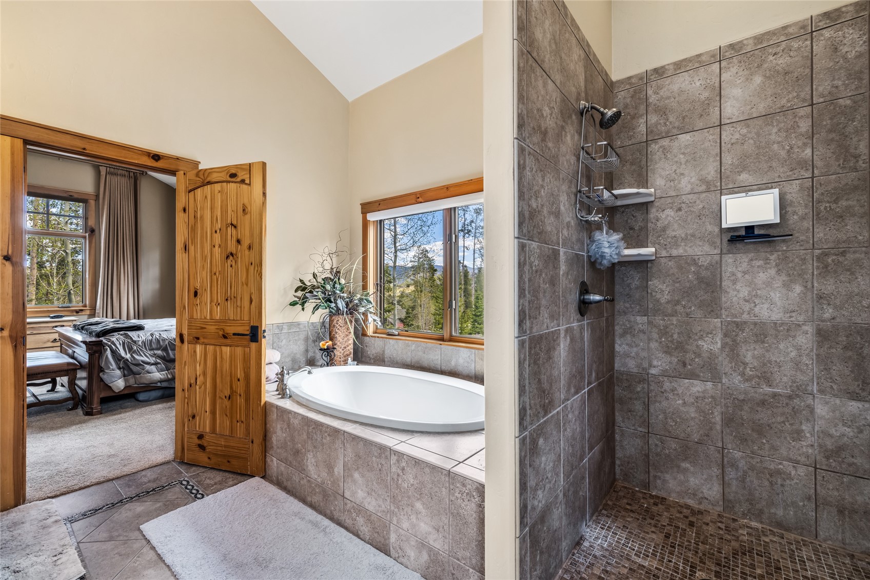 246 Westerman Road Breckenridge, CO 80424 - Photo 23 of 50
