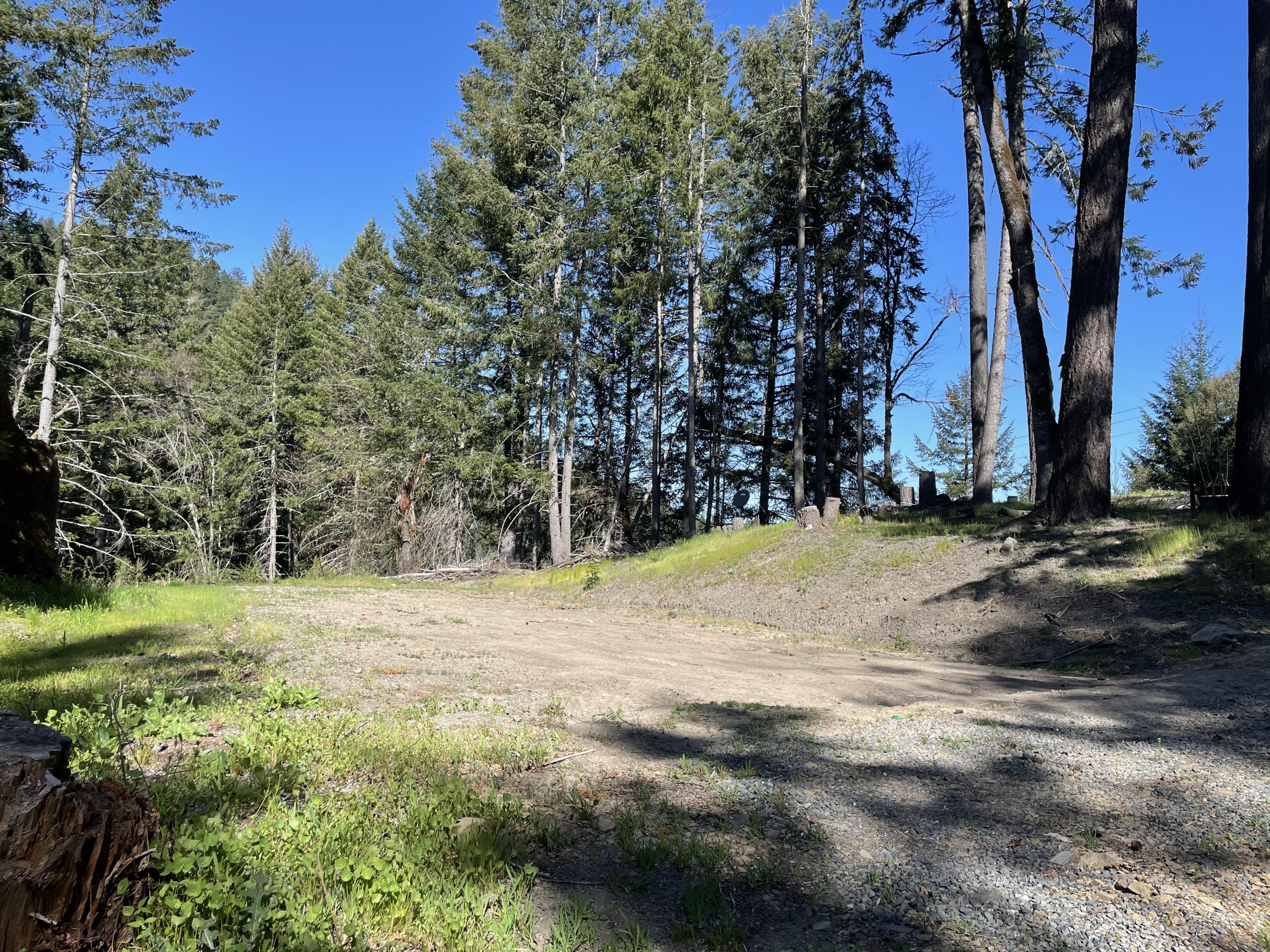 0 Stagecoach Road Bridgeville, CA 95526 - Photo 5 of 24