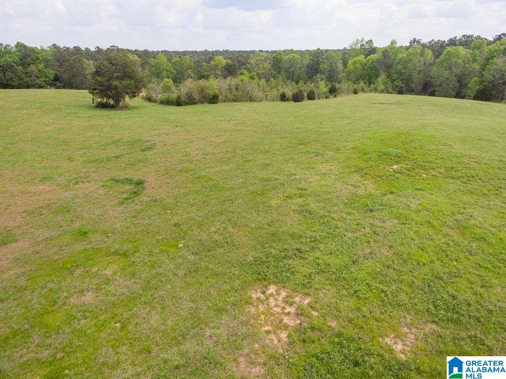 1210 County Road 61 Clanton, AL 35046 - Photo 47 of 50