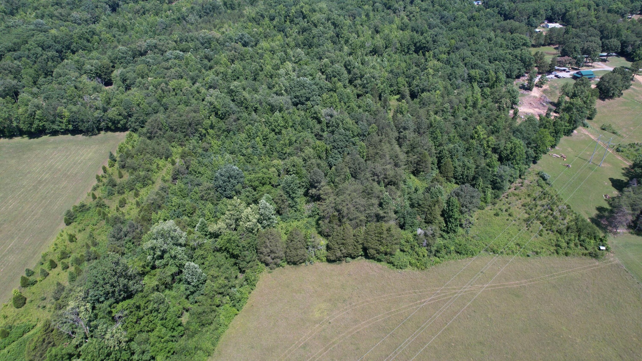 5047 Toestring Valley Road Spring City, TN 37381 - Photo 10 of 44 Gallery Image 10
