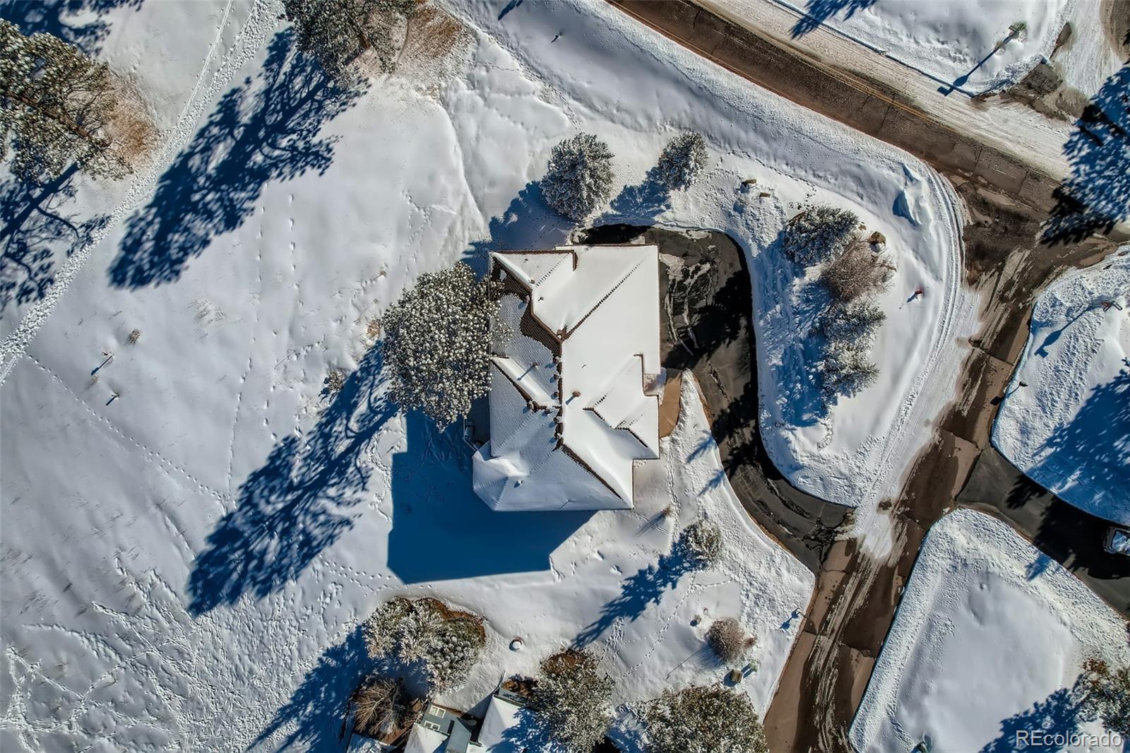 1634 Muirfield Lane Evergreen, CO 80439 - Photo 39 of 40 a view of a tree in a backyard