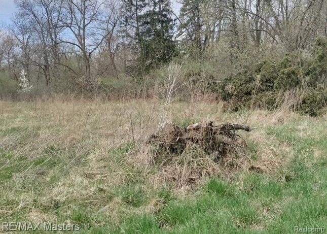 0 Laplaisance Road La Salle, MI 48145 - Photo 4 of 4