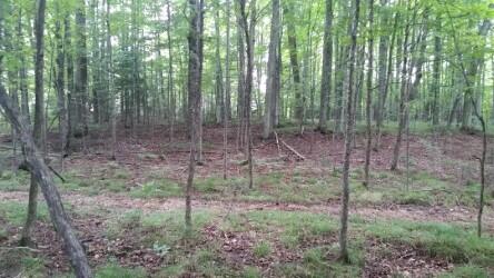 West Kneeland Road Mio, MI 48647 - Photo 13 of 14