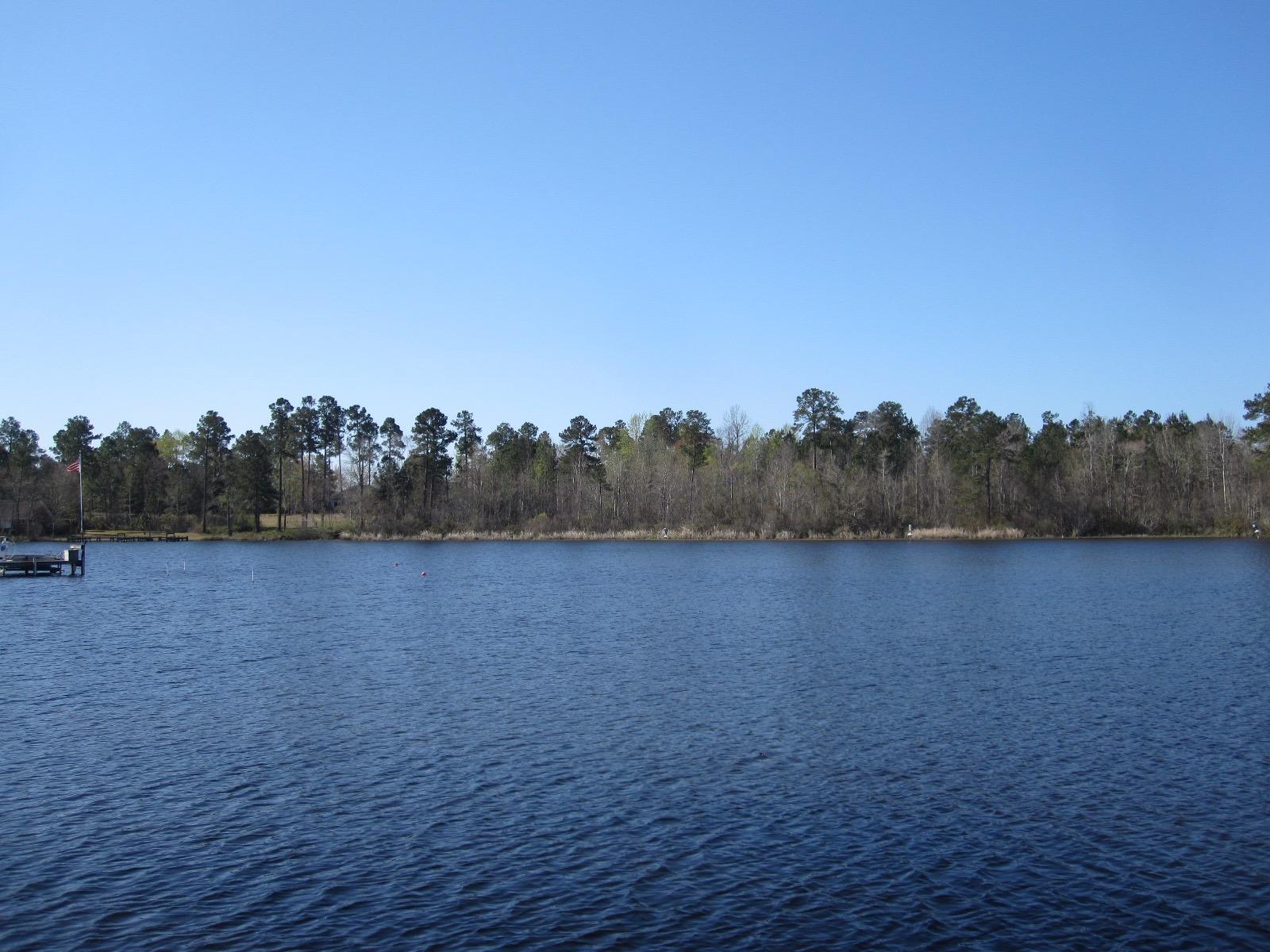 235 Ridge Lake Drive Manning, SC 29102 - Photo 31 of 37 IMG_9727