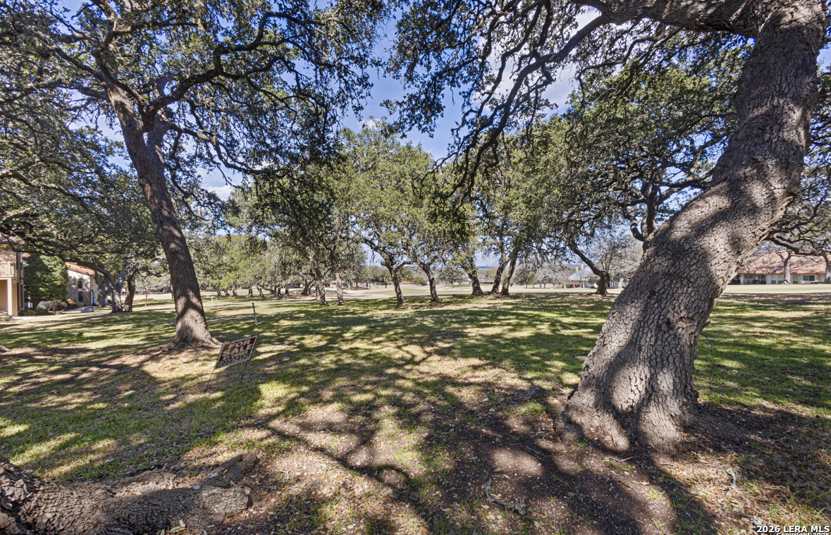 29342 Ridgeview Trail Boerne, TX 78015 - Photo 3 of 25