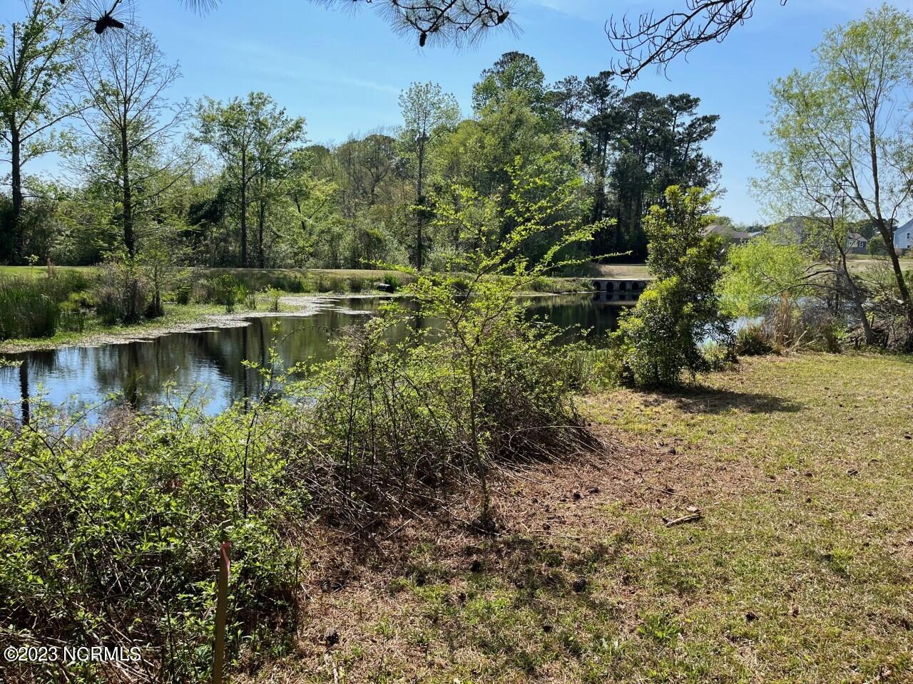 402 Ravenswood Road Hampstead, NC 28443 - Photo 108 of 130 Land 3