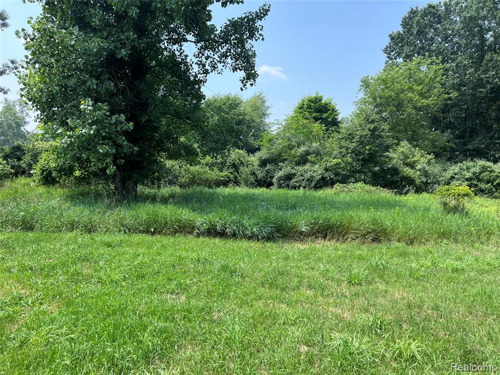 6197 West Sober Road Fowlerville, MI 48836 - Photo 23 of 23 Gallery Image 23