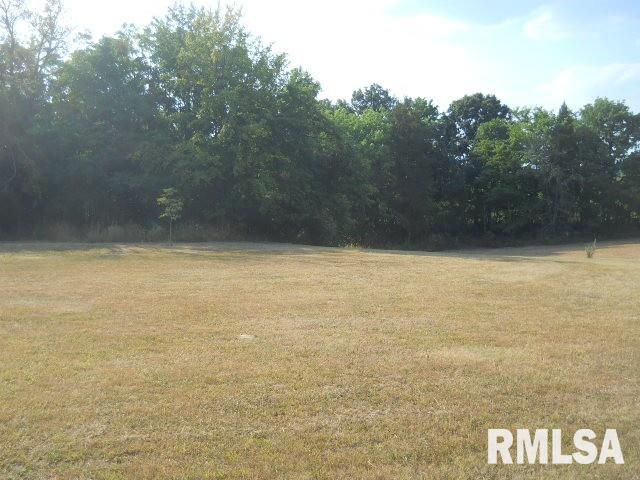 Tbd Tbd Tbd Henry Hicks Road Herod, IL 62947 - Photo 1 of 6 Gallery Image 1