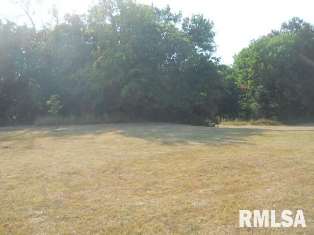 Tbd Tbd Tbd Henry Hicks Road Herod, IL 62947 - Photo 2 of 6 Gallery Image 2