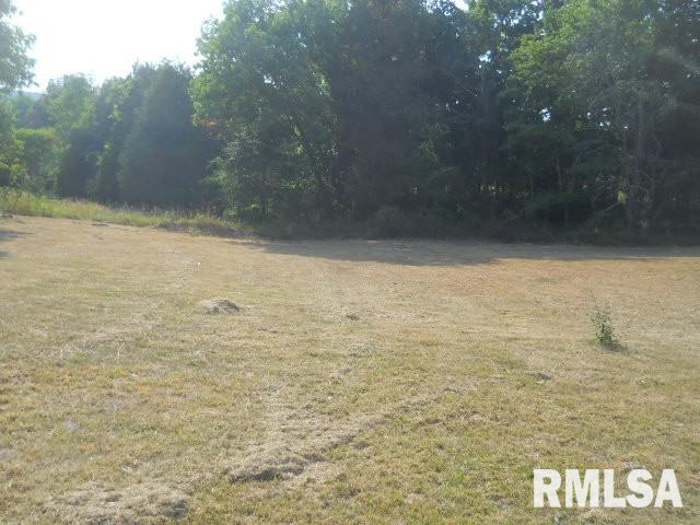 Tbd Tbd Tbd Henry Hicks Road Herod, IL 62947 - Photo 3 of 6 Gallery Image 3