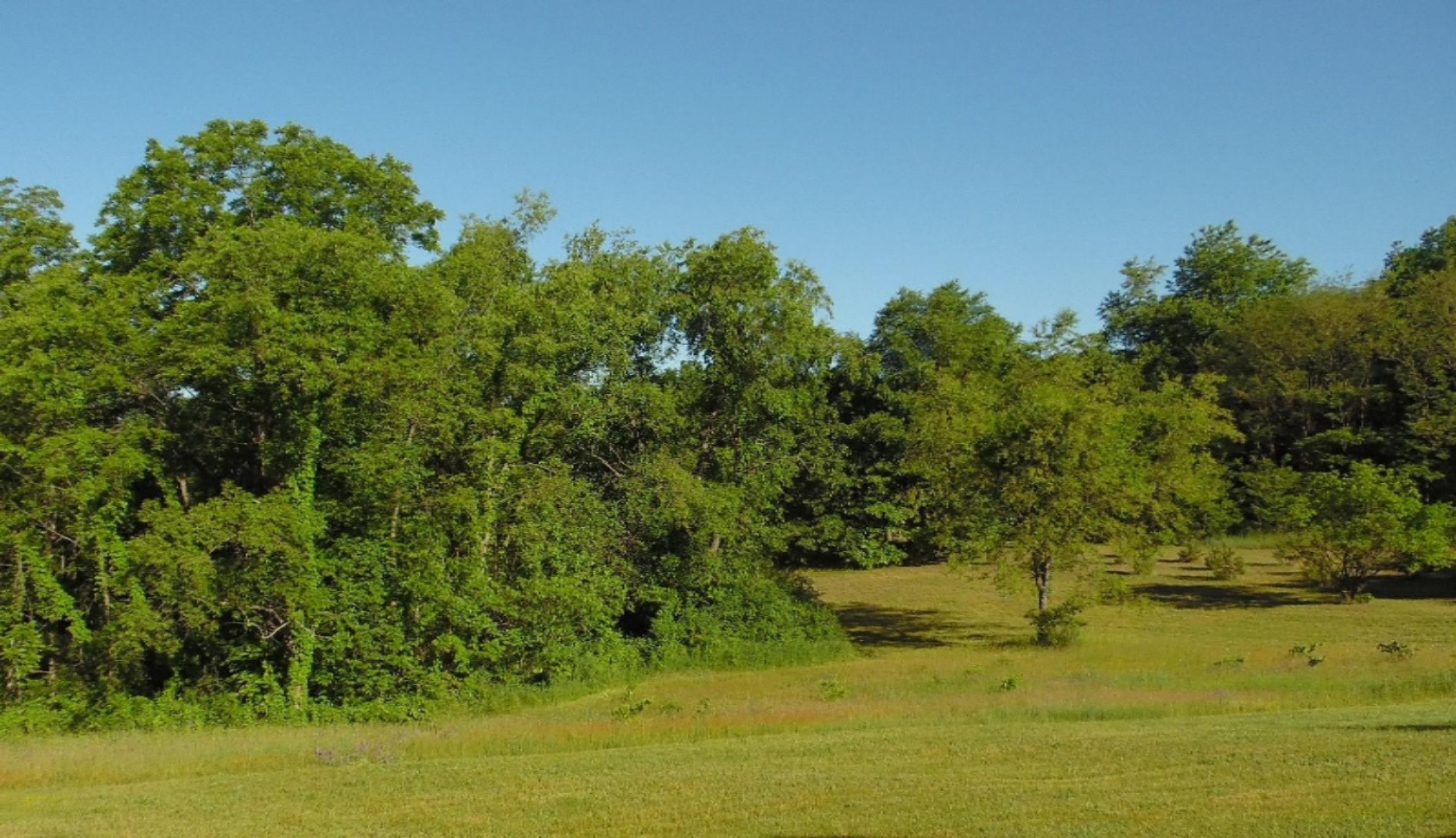 305 South Yankee Springs Road Middleville, MI 49333 - Photo 23 of 35 SAM_3250
