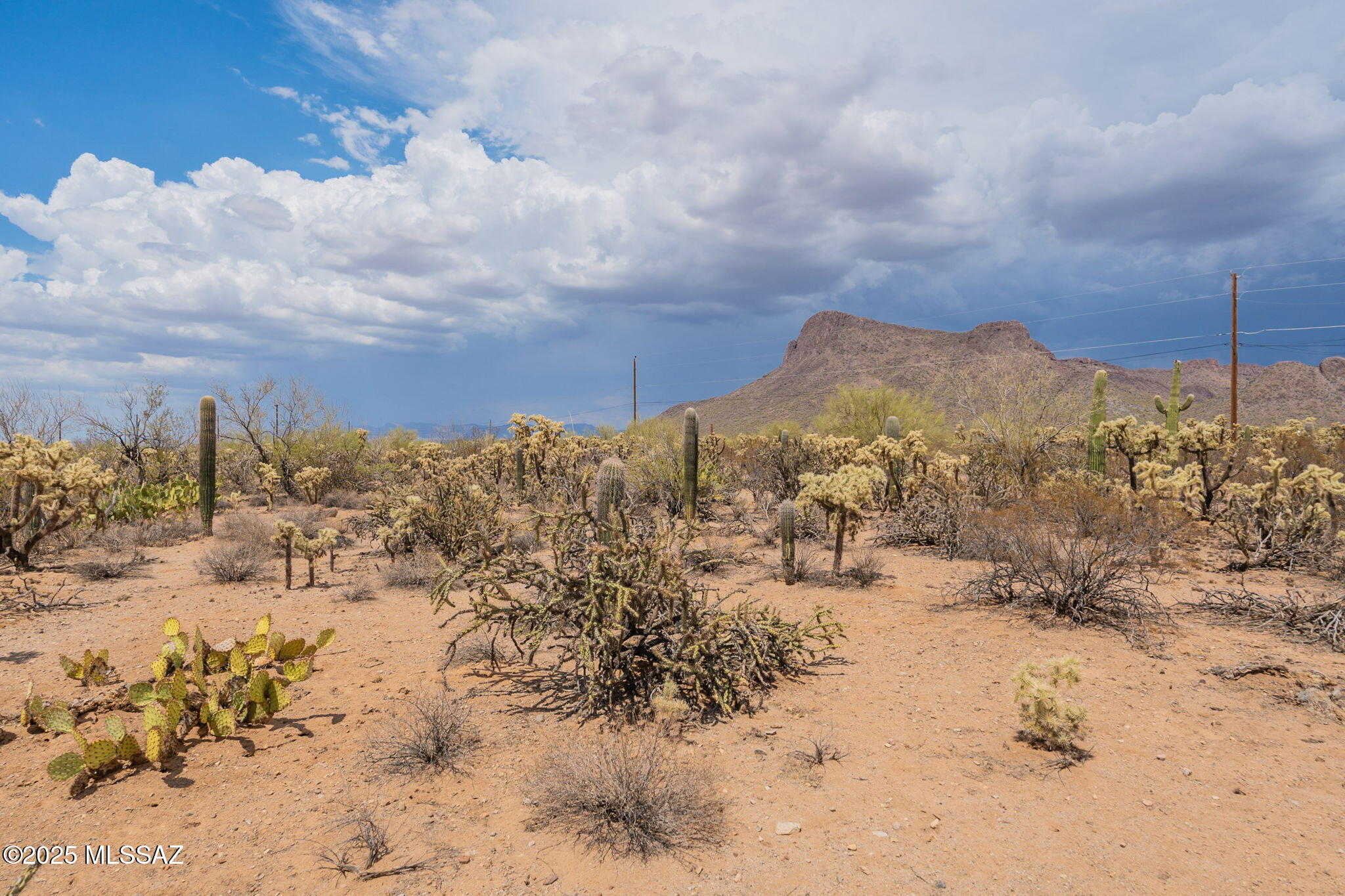 Tbd North Tbd N Van Ark Road Tucson, AZ 85743 - Photo 6 of 25