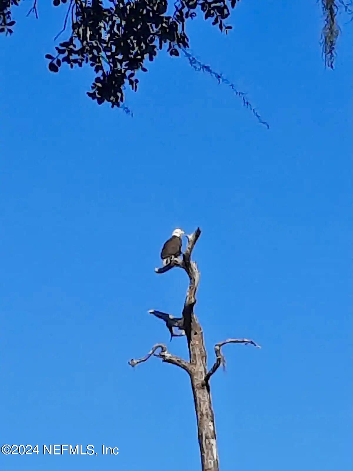 139 Depot Road Hawthorne, FL 32640 - Photo 20 of 26 IMG_1752