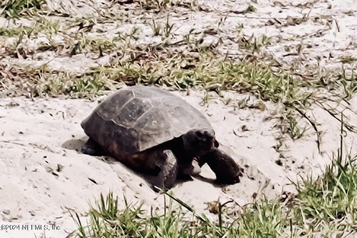 139 Depot Road Hawthorne, FL 32640 - Photo 22 of 26 IMG_9561