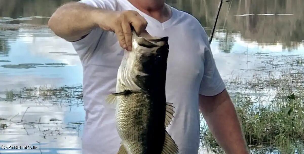 139 Depot Road Hawthorne, FL 32640 - Photo 23 of 26 IMG_2917