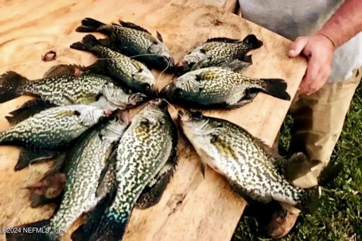 139 Depot Road Hawthorne, FL 32640 - Photo 24 of 26 IMG_6074