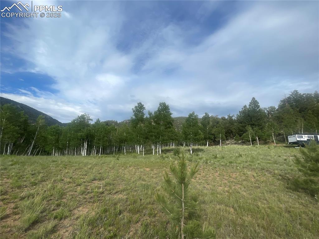 171 Emerald Way Lake George, CO 80827 - Photo 2 of 6 a view of outdoor space with deck and yard