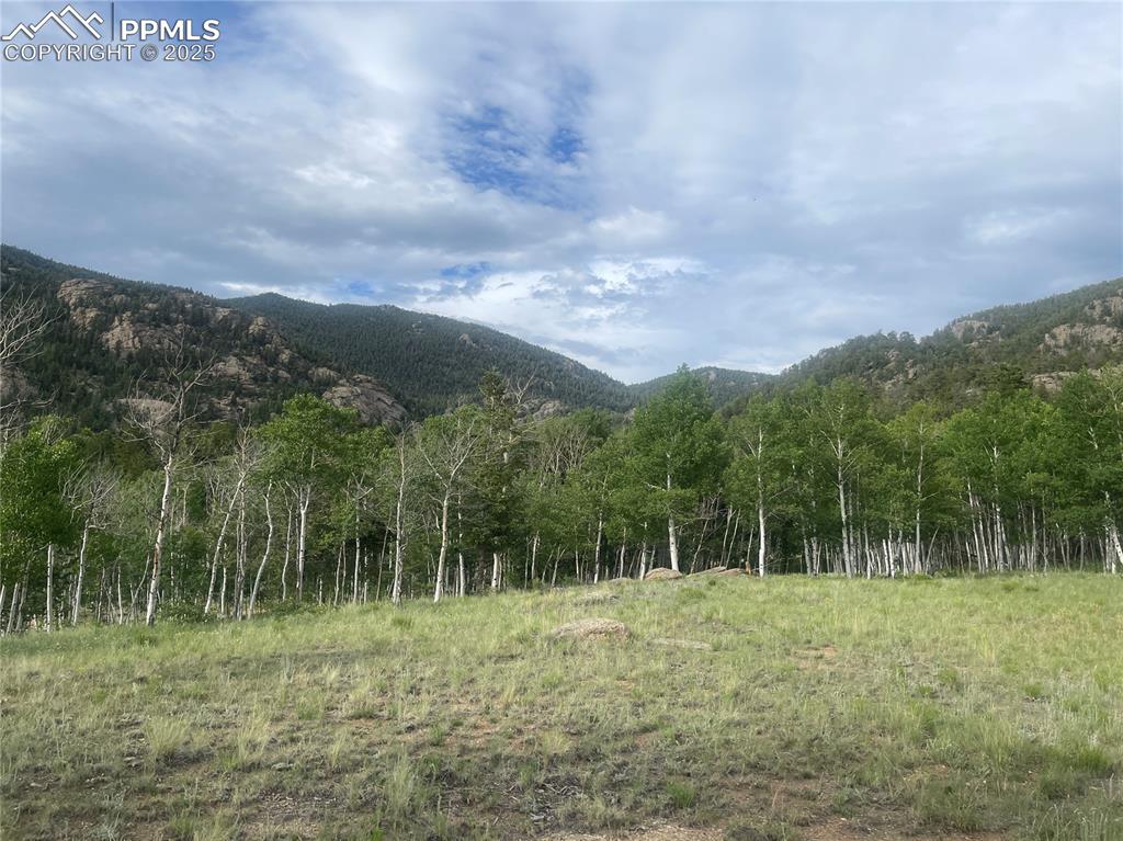 171 Emerald Way Lake George, CO 80827 - Photo 3 of 6 a view of a green field with a tree in the background