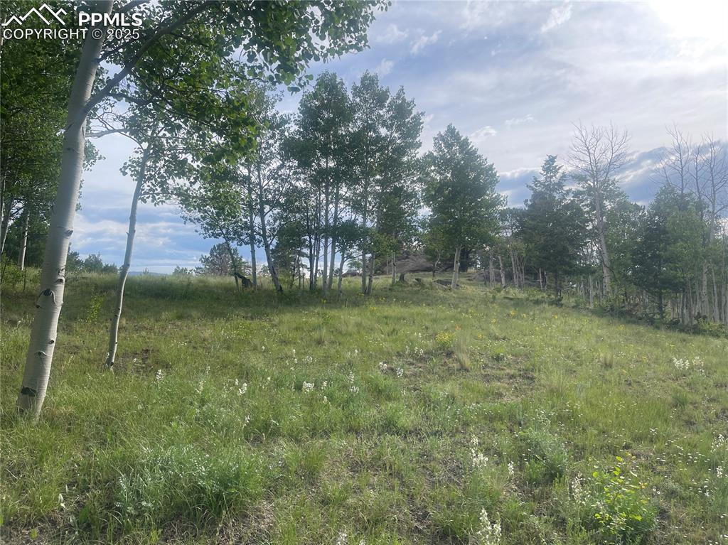 171 Emerald Way Lake George, CO 80827 - Photo 5 of 6 a view of outdoor space deck and yard