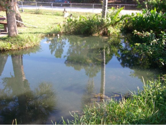 376 Southwest Germany, Unit 36 Palm Bay, FL 32908 - Photo 5 of 9 Additional Photo