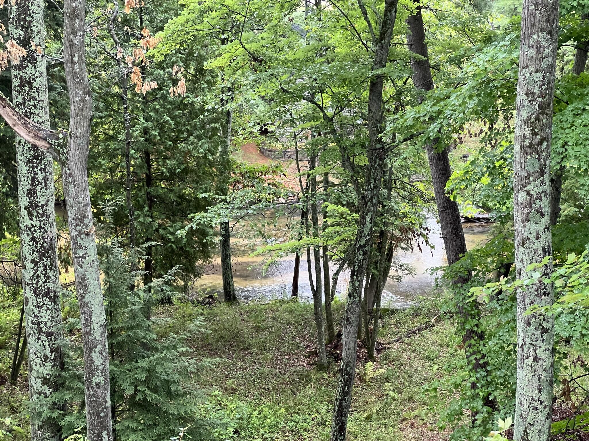 8132 North Hunters Ridge Irons, MI 49644 - Photo 33 of 37 IMG_4350
