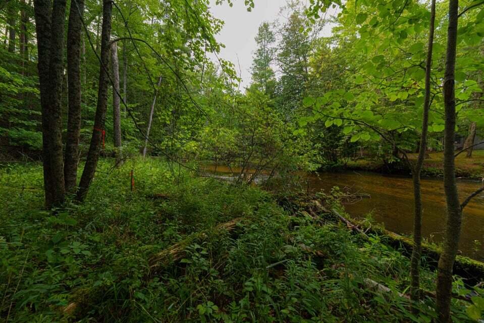 8132 North Hunters Ridge Irons, MI 49644 - Photo 36 of 37 HuntersRidge2