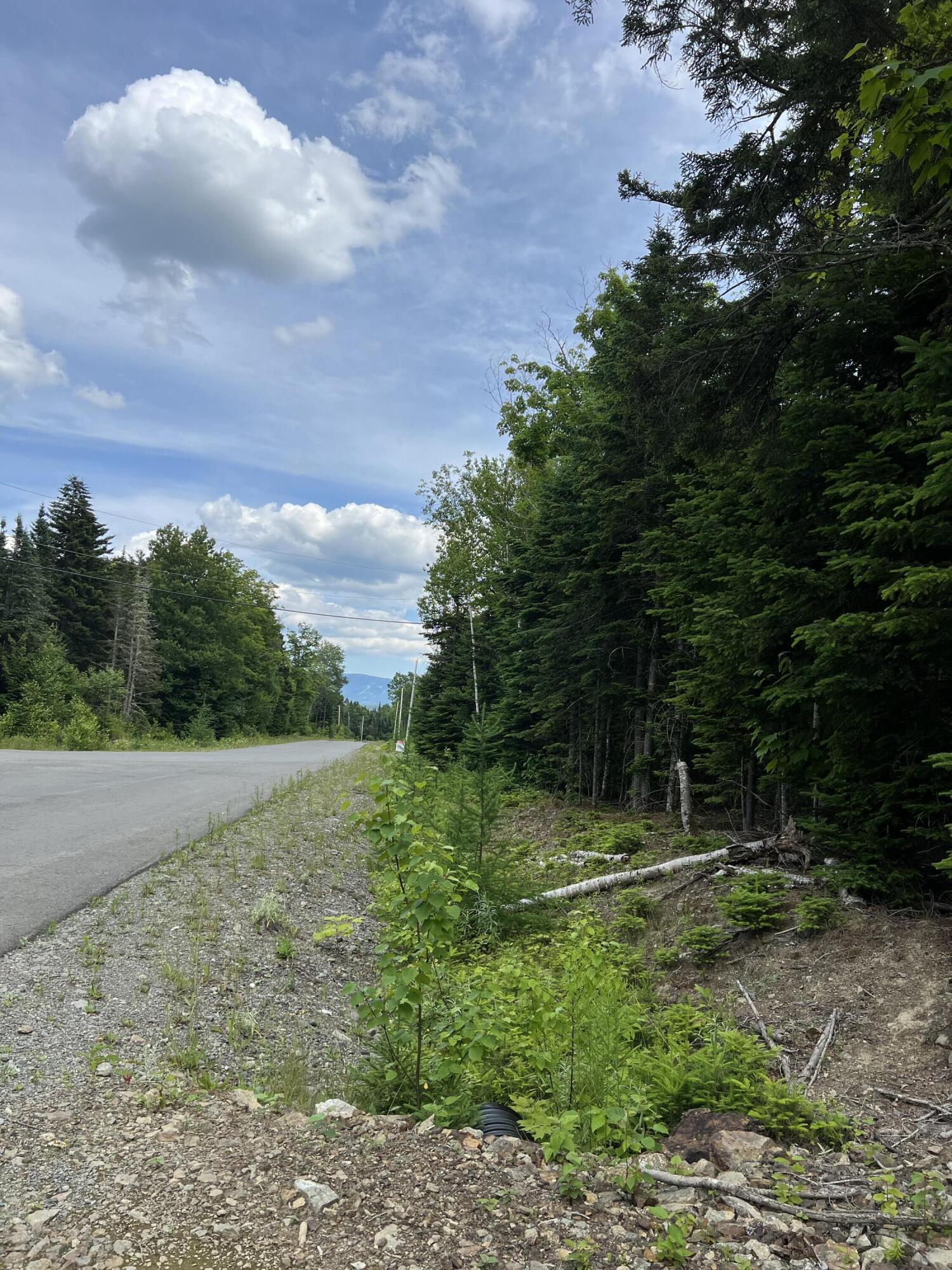 121 Taylor Farm Road, Unit 121 Rangeley, ME 04970 - Photo 5 of 5 IMG_5009