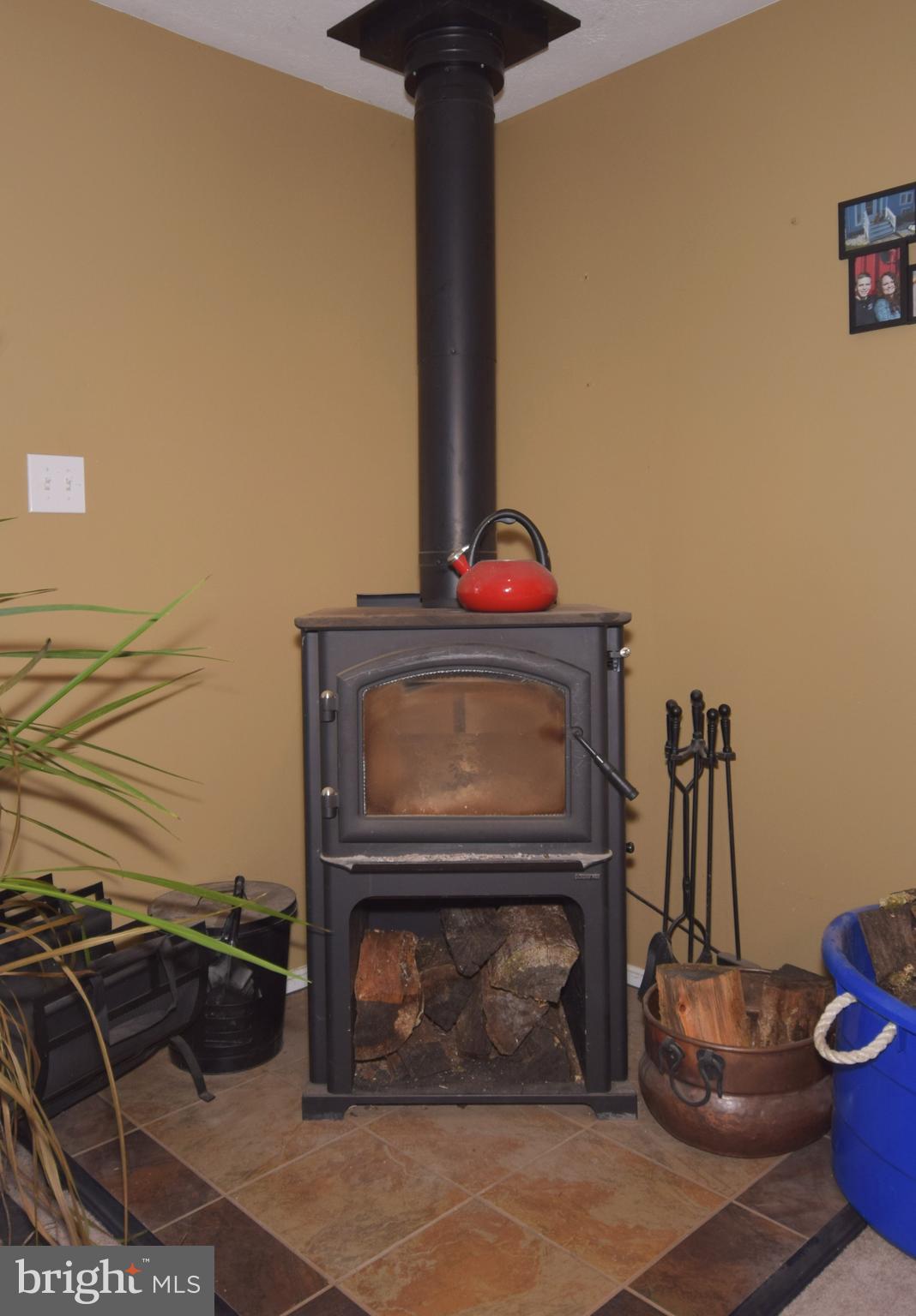 97 Spring Hollow Road Front Royal, VA 22630 - Photo 33 of 38 a living room with a fireplace and a potted plant
