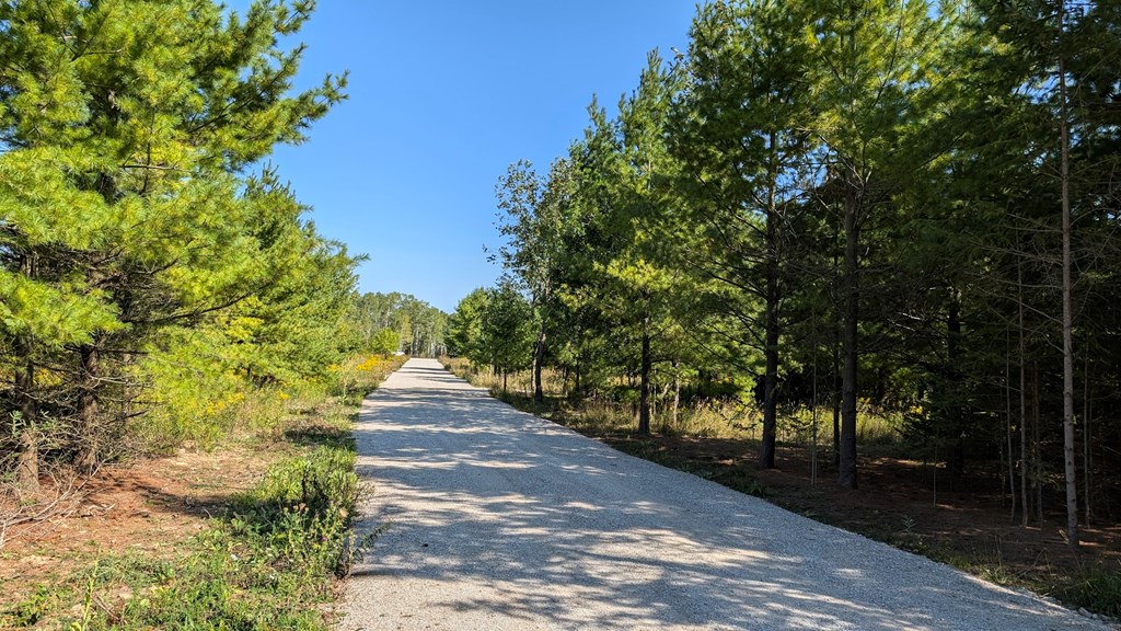 Lot 6 Wandering Down Road Fish Creek, WI 54212 - Photo 3 of 21