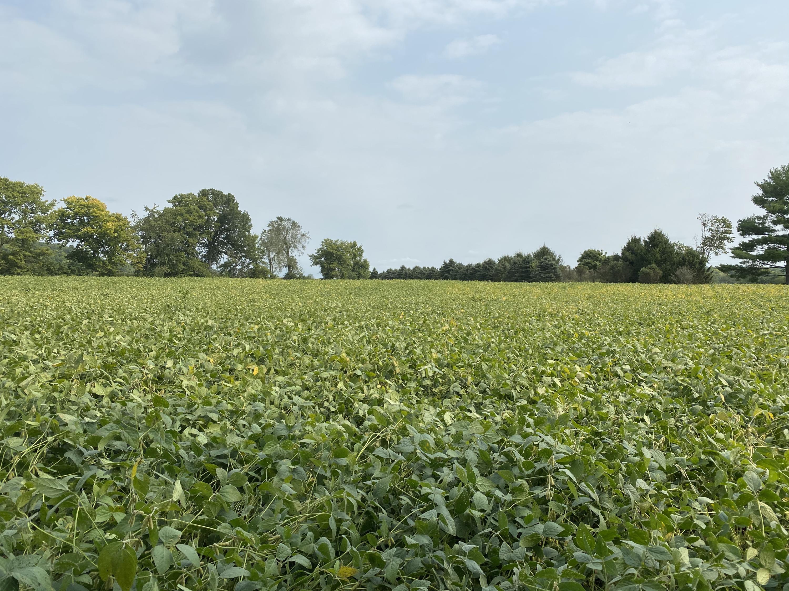 0 Co Road Bellefontaine, OH 43311 - Photo 4 of 5