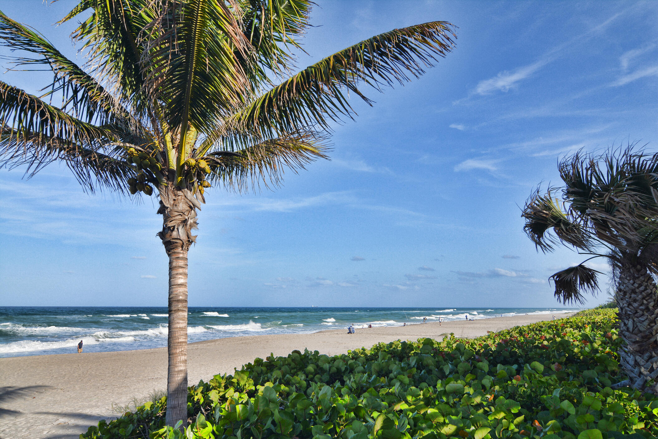 1420 Ocean Way, Unit 6B Jupiter, FL 33477 - Photo 32 of 33 beach photo