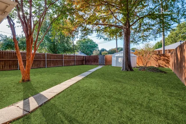 a view of a backyard